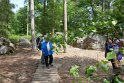 2018-05-24 14-38-38  Rando Fontainebleau DLe